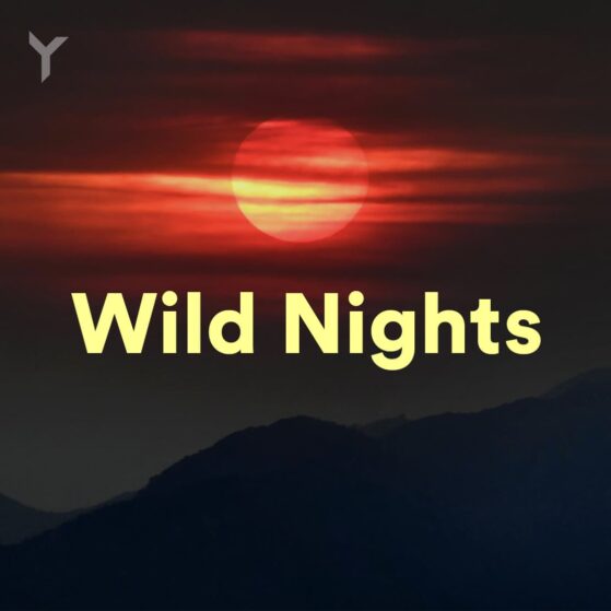 Wild Nights - Music Playlist