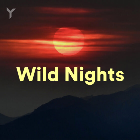 Wild Nights